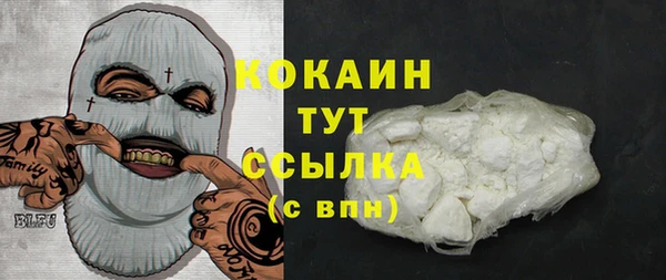 индика Армянск