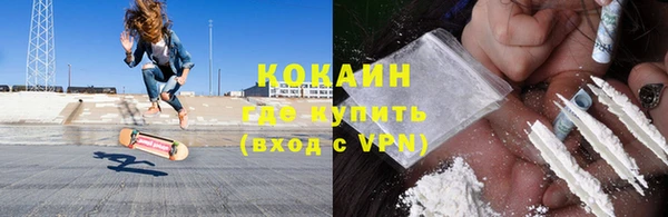 индика Армянск
