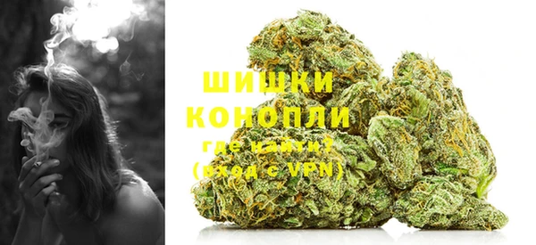 индика Армянск