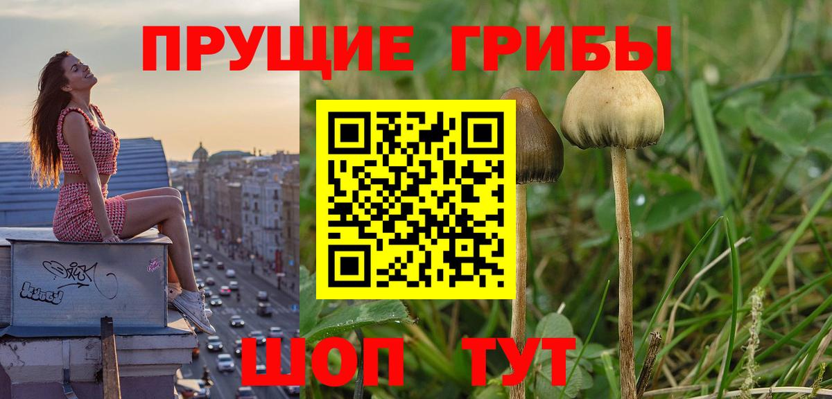 Псилоцибиновые грибы мухоморы  Вход с VPN  Асбест 
